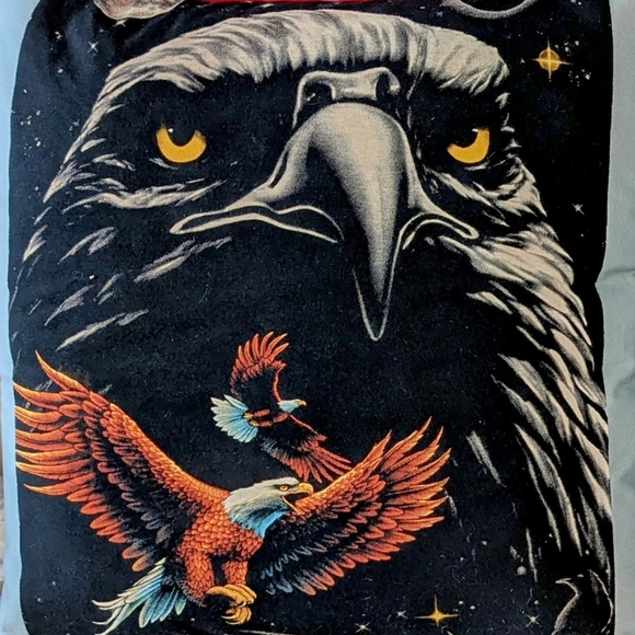 Eagle 🦅 Pillow Set - Picture 17 of 17